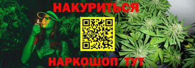 PSILOCYBIN Пушкино