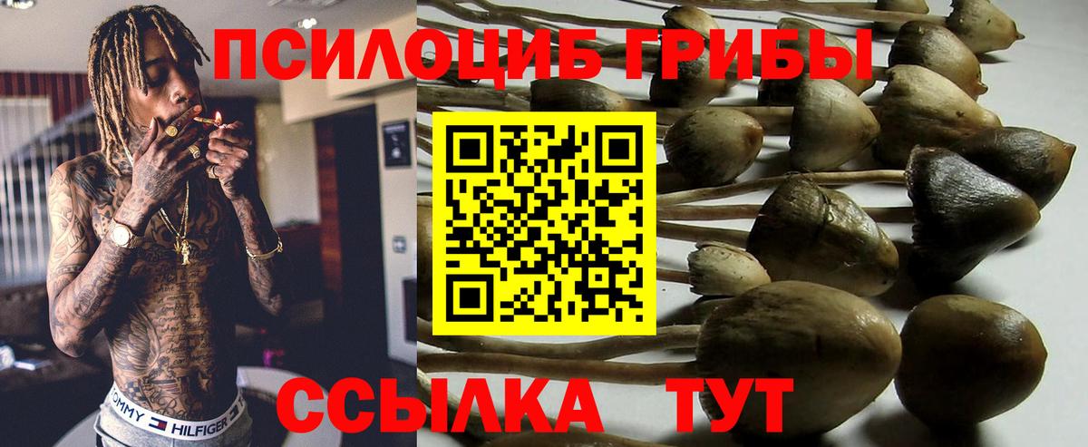 Острогожск  Галлюциногенные грибы мухоморы  Вход с VPN  Псилоцибиновые грибы Psilocybine cubensis 